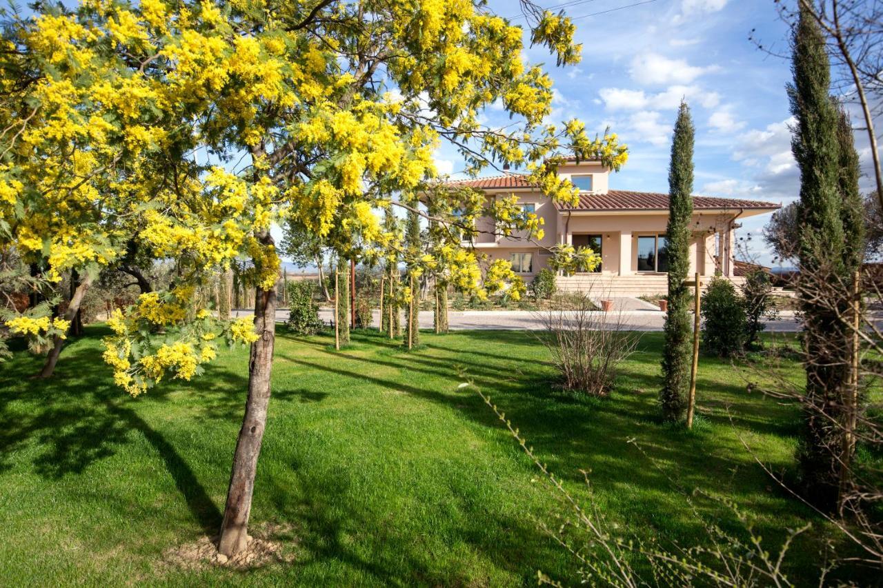 Villa Spaccasole Su Cortona Foiano Della Chiana Eksteriør bilde